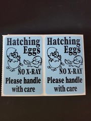 100 Handle with care Hatching Eggs shipping labels 3″ x 2″ no x-ray u pick