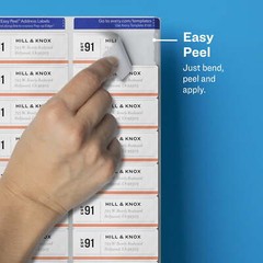 1″ x 2-5/8″, Film, Matte Clear, Inkjet, Sure Feed, 300 Labels (18660)
