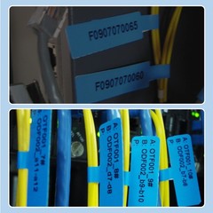 Label Maker Tape 0.5″x4.3″ Cable Label Print Paper for D11/D110/D101 Label Pr…