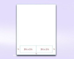 8-1/2″ x 11 24# Integrated Label Form with 2 Labels of 3-1/2 x 1-1/2″ Each (500)
