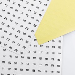 Number Sticker 1 to 300 10 Sheets Digital Sticker 1 to 300 Circular Digital S…