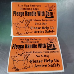 100 Large 4″ x 3″ Handle with care Hatching Eggs No Arrow Mailing Shipping Label