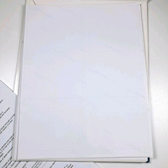 *24 Sheets* 3 1/3″ x 4″ White Shipping Labels for Inkjet/Laser Office Depot