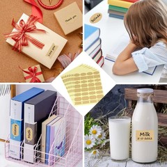 Elegant 256 Pcs Self-Adhesive Assorted Shape Labels with Cleaning Cloth Included
