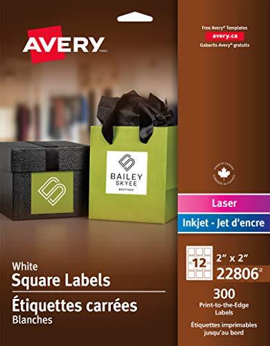 Avery 22806 Square Permanent Labels, 2-Inch X2-Inch, 300/Pk