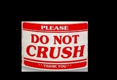 100 ~ 2″x3″ Please DO NOT CRUSH Labels ~ Adhesive Stickers ~ 2 Per Sheet