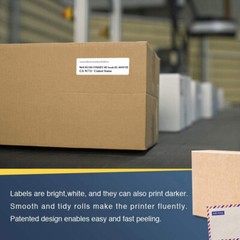 1 x DK1201 Die-Cut Address Labels (29 mm x 90 mm) for Brother QL-1060N QL-1100