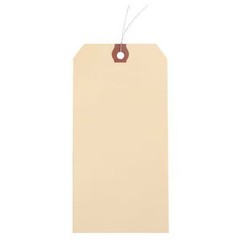 Manufacturer Varies 2-1/8″ x 4-1/4″ Manila Paper Wire Tag, Pk1000 1GYN8