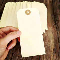 Pre-Strung Blank Shipping Labels with Wire, 120 PCS 4 3/4″ x 2 3/8″ Manila Hang