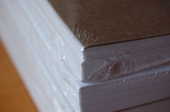 600 Pro Office Premium 4 x 3 1/3 6-up Self Adhesive Blank Laser /Ink Jet Labels