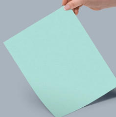 PASTEL GREEN 3″ X 1″ MATTE Labels RECTANGULAR Adhesive18 PER SHEET LASER/INK