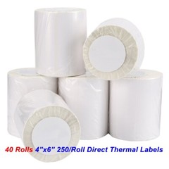 40 Rolls 250 Direct Thermal Shipping Labels 4×6 For Zebra LP2844 ZP450 Eltron
