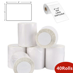 40 Rolls 4×6 Direct Thermal Shipping Labels 250/Roll For Zebra 2844 Eltron ZP450