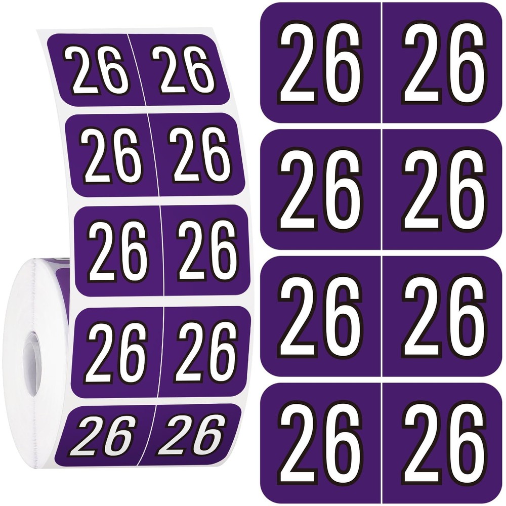 Colored Year Stickers for File Folders School Office Organization and Labels NEW