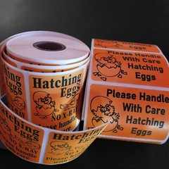 1000 2″ x 3″ Handle with care Hatching Eggs shipping labels sticker U pick