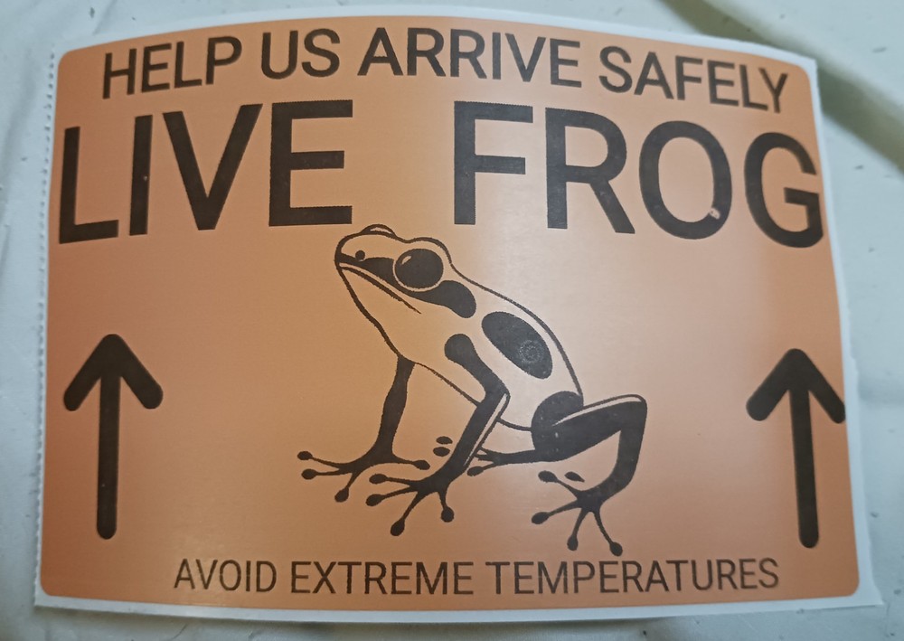 100 3×2 Orange Live Frog Shipping Labels Dart Frog Tree Frog