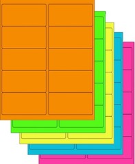 Assorted Fluorescent Labels | 5 Colors – 10 Labels Per Sheet, 4 x 2″ – 25 Sheets