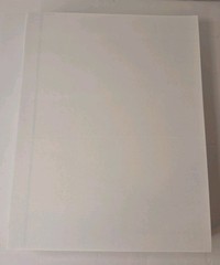250 Full sheet Adhesive Blank Shipping Labels 8 1/2 x 11 in Sticker UPS USPS