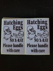 100 Handle with care Hatching Eggs shipping labels 3″ x 2″ no x-ray u pick