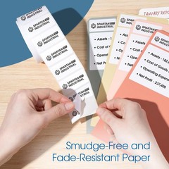 4″ X 6″ Direct Thermal Labels 2500 Count, 10 Rolls – Printable Postage 4X6 Sh…