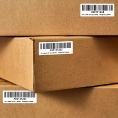 Shipping Address Barcode Labels 100 Sheets 3000 Count 1 x 2 5 8 Laser Inkjet