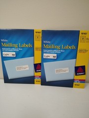 Lot of 2 Avery White Mailing Labels 1 × 2 5/8″-300 Labels New Unopened 600 total