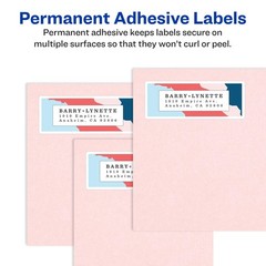 Printable Address Labels, 1″ x 2-5/8″, Glossy Clear, 300 Blank Mailing Labels fo