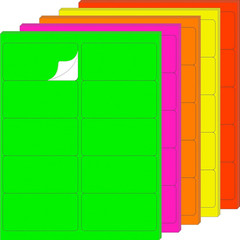 2“ X 4“ Fluorescen Address Labels 5 Colors Neon Stickers for Inkjet or Laser Pri