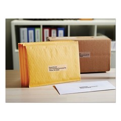 DYMO LabelWriter Address Labels, 1.12×3.5″, Clear, 130 Labels/Roll, 5 Rolls/Pack