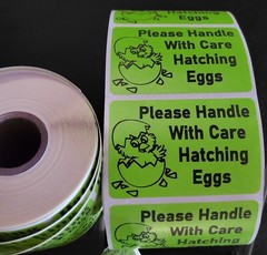 1000 2″ x 3″ Handle with care Hatching Eggs shipping labels sticker U pick