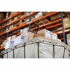DYMO Extra Large Shipping Labels 4×6 for LabelWriter 5XL 4XL 220 Count