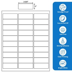 30-up 500 Sheets 1″ x 2-5/8″ Address Labels for Laser/Inkjet Printers, 15000 …
