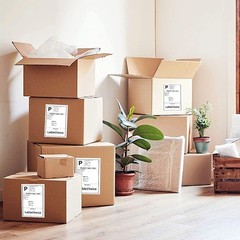 100 Half Sheet Self Adhesive Shipping Labels for Laser & Inkjet Printers 8.5″…