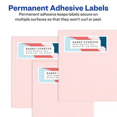 Inkjet Labels, Mailing, 1″x2-5/8″,3000/PK, White