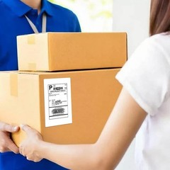 100-1000 Sheet Laser Ink Jet Shipping Labels Address Self Adhesive UPS Fedex
