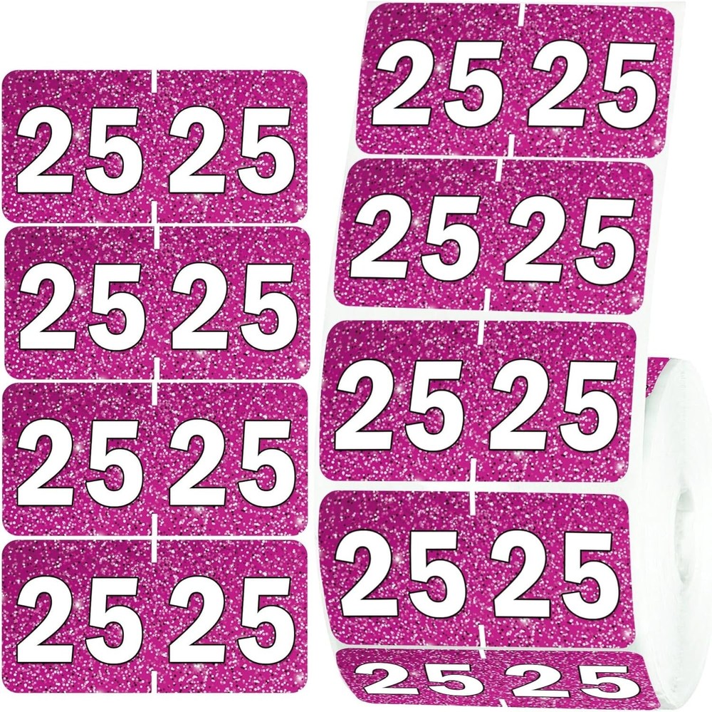 2025 Year Stickers Color Coding 3/4″ X 1 1/2″ File Folder 25 Year Label Coded