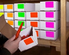 250 Count 2×3″ Color Code Labels, 5 Fluorescent Colors