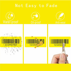 1000Pcs 2×1 Thermal Labels Roll Waterproof Self Adhesive Sticker Paper