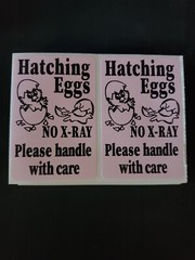 100 Handle with care Hatching Eggs shipping labels 3″ x 2″ no x-ray u pick