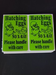100 Handle with care Hatching Eggs shipping labels 3″ x 2″ no x-ray u pick