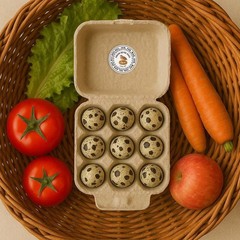 320 Pcs Quail Eggs Carton Labels, 2 Inch Round Fresh Quail Eggs Handling Stic…