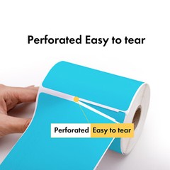 DYMO LW 30256 COLOR Large Direct Thermal BLUE Shipping Labels – (2) Rolls of 300