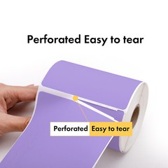 DYMO LW 30256 COLOR Direct Thermal LAVENDER Shipping Labels – (6) Rolls of 300