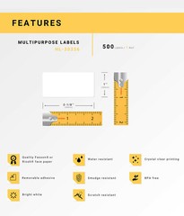 DYMO LW 30336-R REMOVABLE Multipurpose Labels (1″ x 2-1/8″) – (12) Rolls of 500