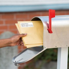 1″ x 2 5/8″Self-Adhesive Blank Address Shipping Labels for Laser & Inkjet 30 UP