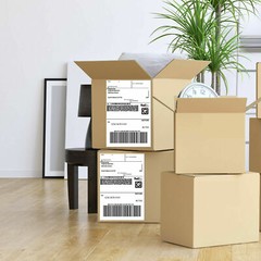 20 Rolls 250 Labels 4X6 Direct Thermal for Zebra LP 2824 2844 2442 Eltron ZP450