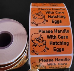 1000 2″ x 3″ Handle with care Hatching Eggs shipping labels sticker U pick