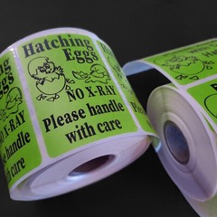 1000 2″ x 3″ Handle with care Hatching Eggs shipping labels sticker U pick