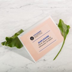 Avery Printable Shipping Labels 3-1/3″ x 4″ Matte Clear 60 Labels 18664