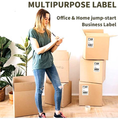 Pack Of 200- Fanfold 4″ x 6″ Thermal Printer Labels Perforated Sheets